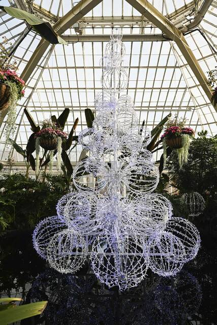 6777142_web1_ptr-phippsflowershow005-111723 6777142_web1_ptr-phippsflowershow005-111723