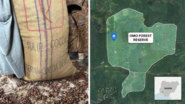 A cocoa bag labeled with Tulip Cocoa, which supplies Mars Inc., in a farmers’ warehouse inside the conservation zone.