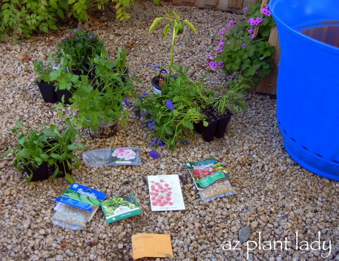 Veggies, Flowers and Seeds