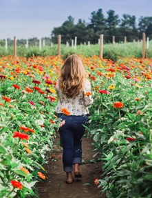 Danielle Kesich Di Bari