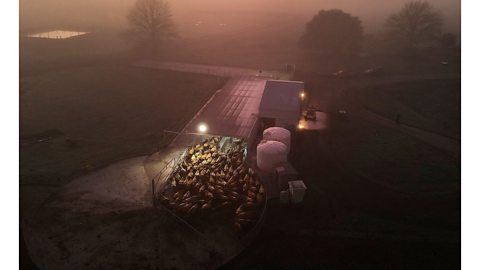 Getty Images New Zealand's Climate Change Commission has warned that the country is not on track to meet its long-term methane reduction targets (Credit: Getty Images)