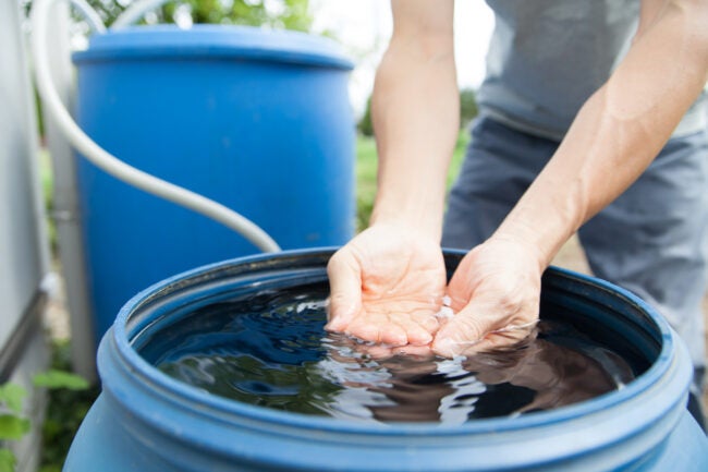 young-mans-hands-scooping-water-from-a-rain-barrel