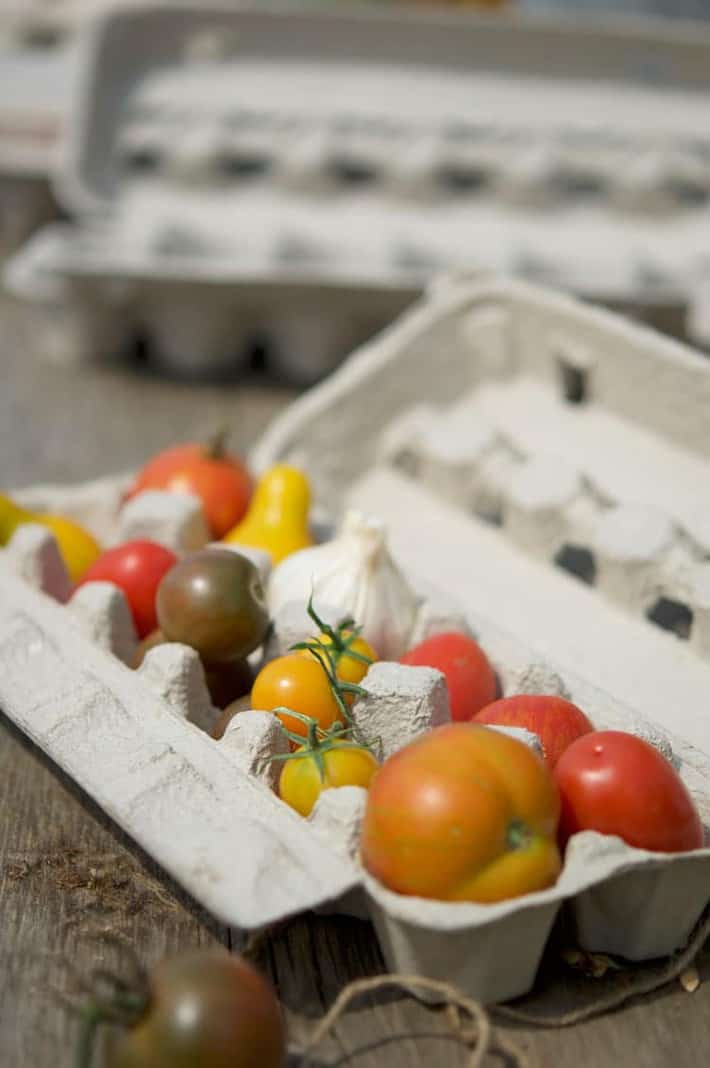 Tomatoes and garlic in a cardboard egg carton for gifting.