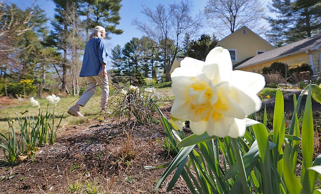 Dana Roberts is opening the Water Street Flower Farm this weekend in Hanover.