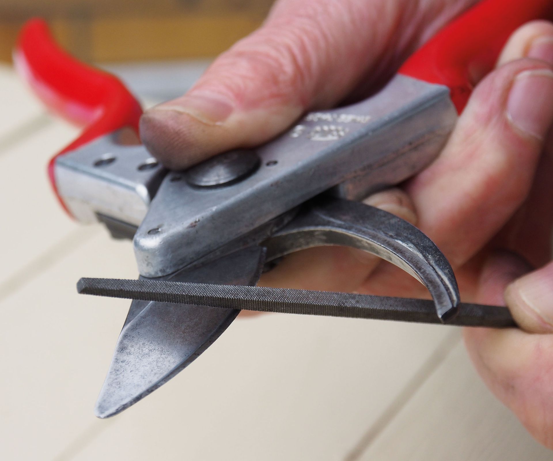 sharpening a pair of pruning shears