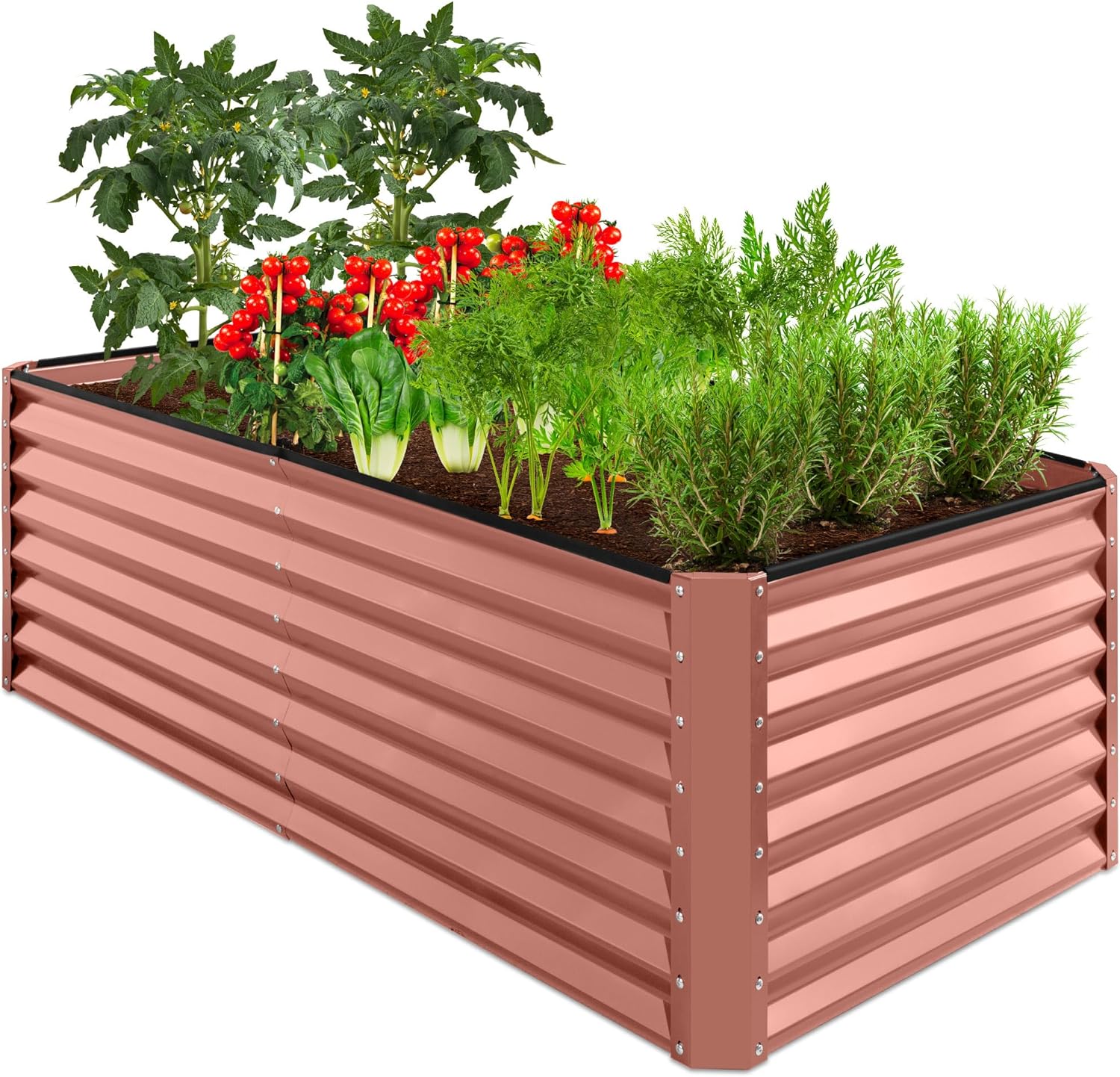 Best Choice Products Raised Vegetable Garden Bed