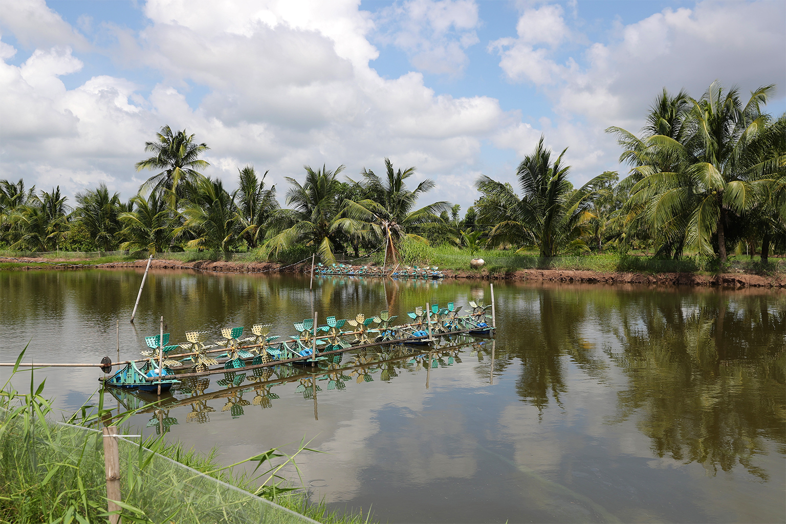Paddle wheel technology helps to aerate the ponds filling them with oxygen for shrimp and fish farming. 
