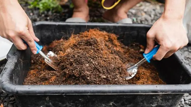 1/3 Compost, 1/3 Coarse Vermiculite, 1/3 Peat Moss or Coco Coir