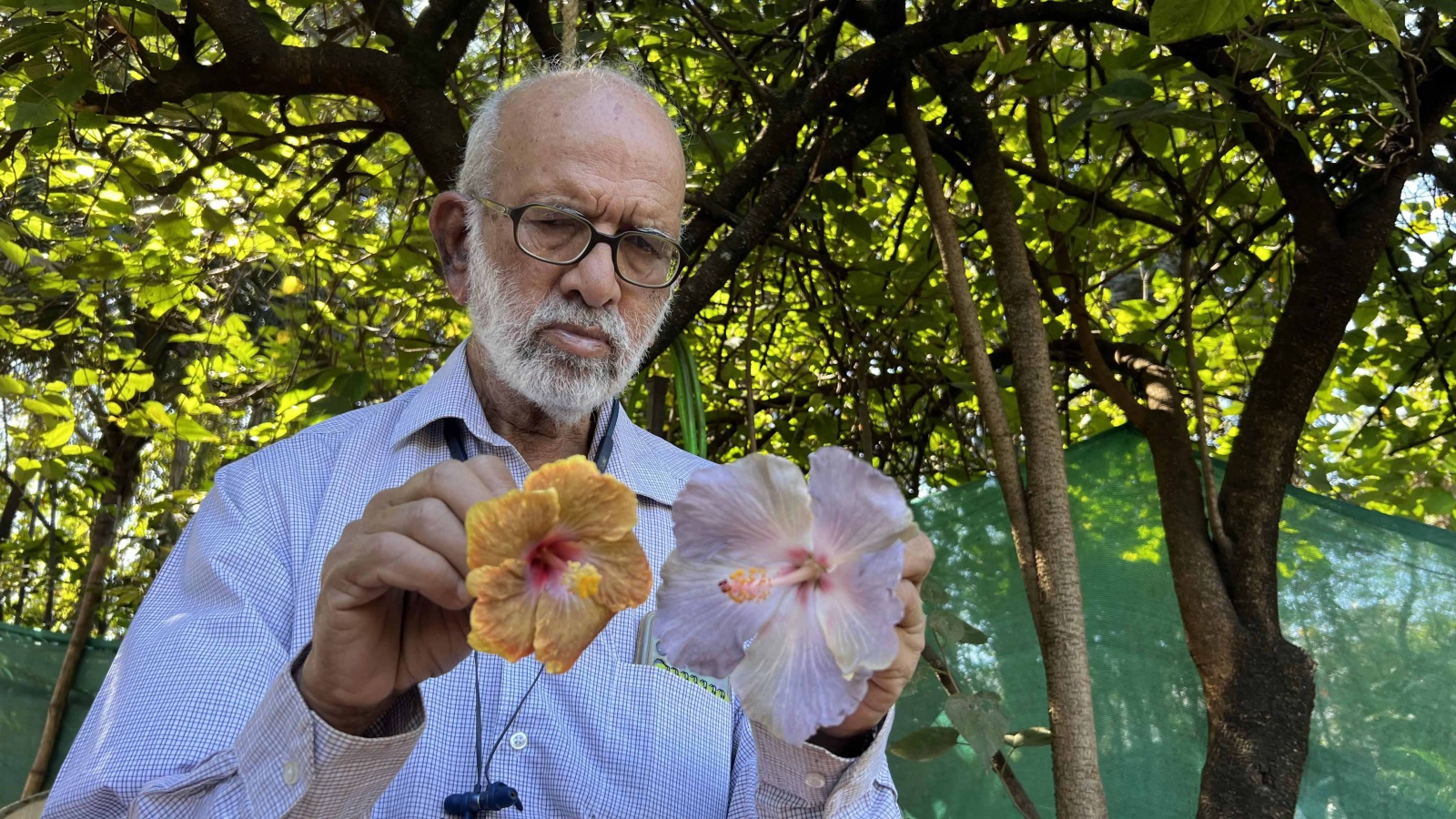 urrounded by the winter burst of vibrant flowers, Champhekar looks at them with pride, as he’s become quite the master grafter whose Ameya Nursery has become the go-to spot for Pune’s plant lovers.
