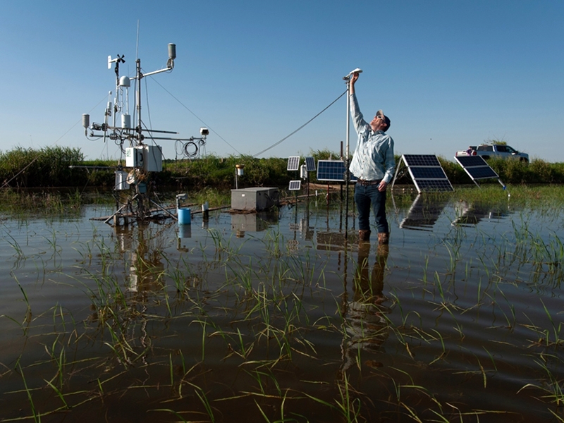 Associate professor Ben Runkle checks a piece of equipment that helps researchers monitor conditions in a flooded rice field.