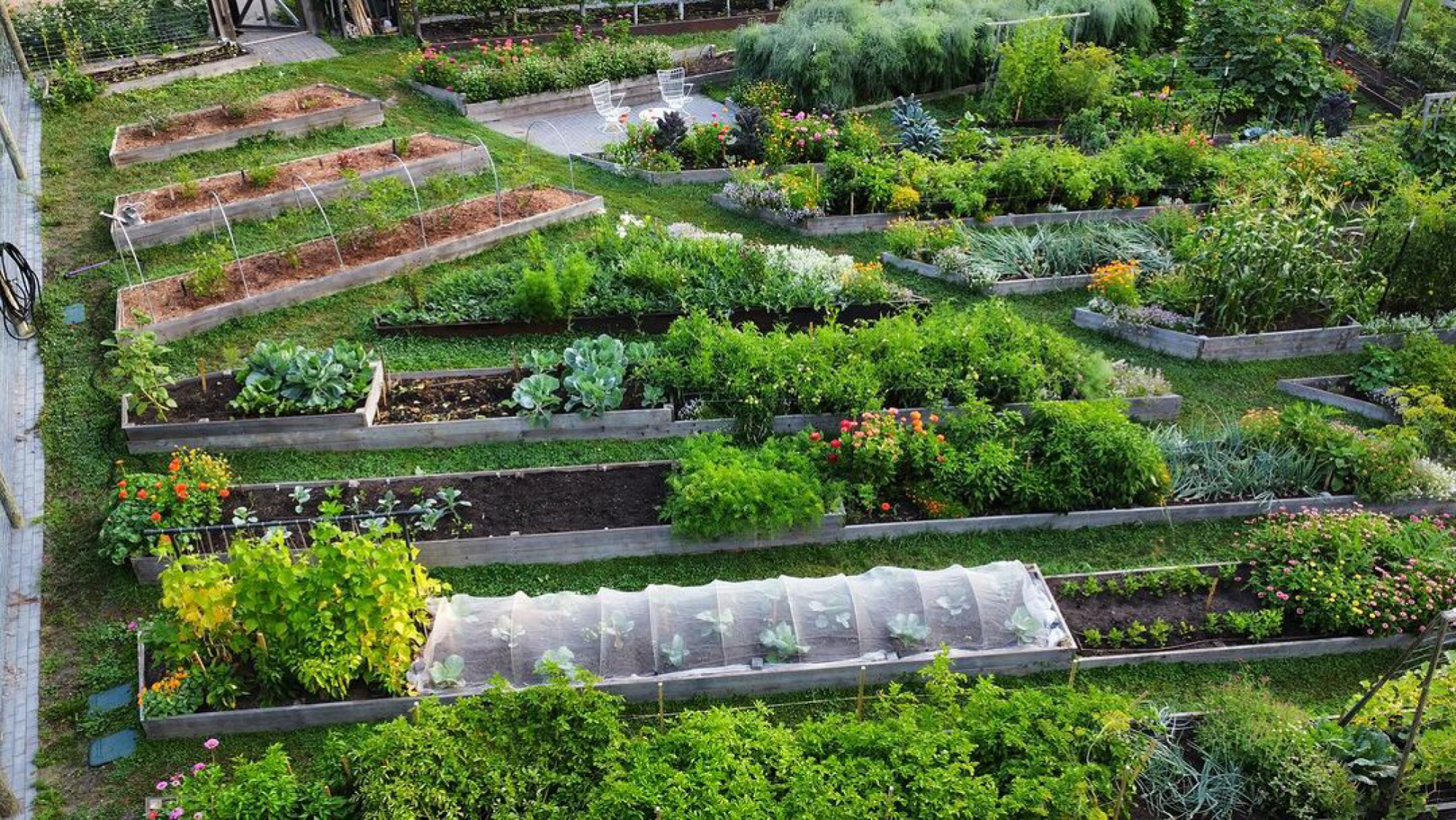 Meg Cowden's garden using block gardening