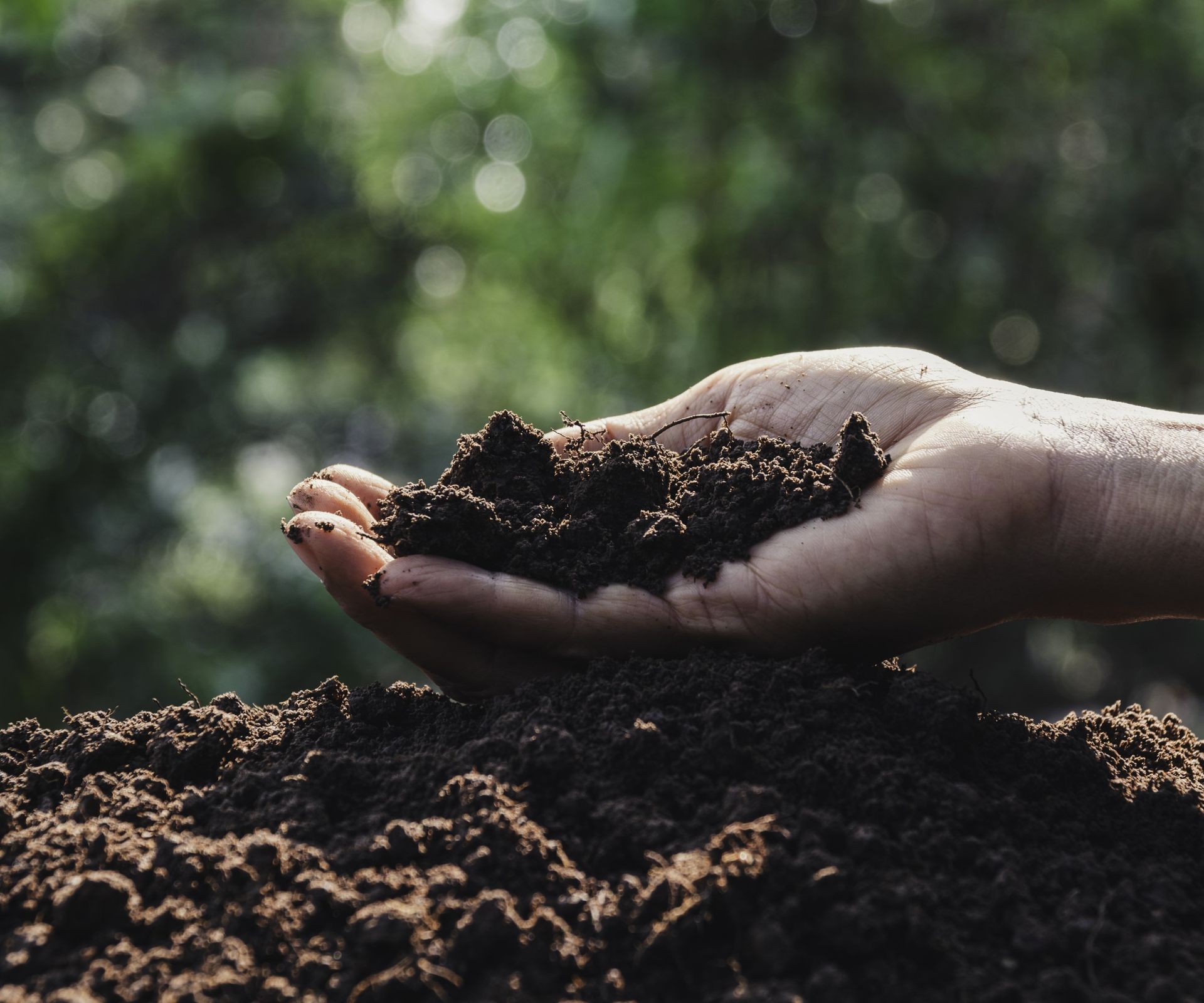 A hand holding a pile of dark compost