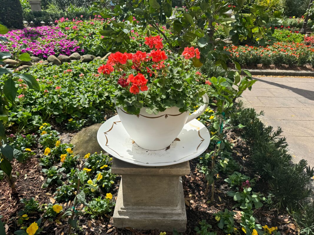 English Tea Garden & Shakespeare Garden Return for 2024 EPCOT International Flower & Garden Festival 3 wdw epcot 2024 epcot internation flower garden festival english tea garden shakespeareIMG 7963