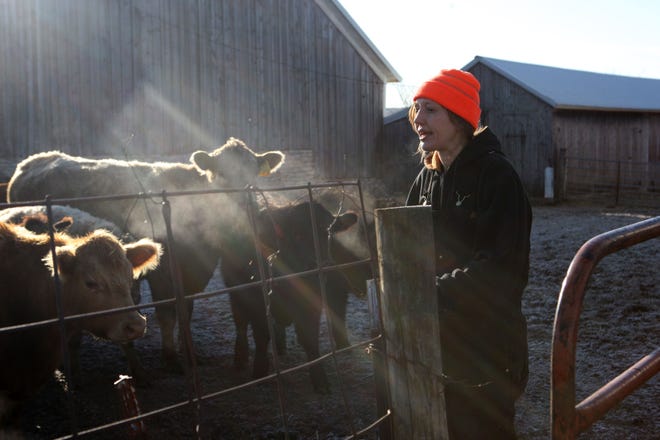 Natasha Wilson checks on her cow and calf herd while doing chores around her family farm near West Chester. She and her sister have joined with their parents to seek a more sustainable future for their family farm.