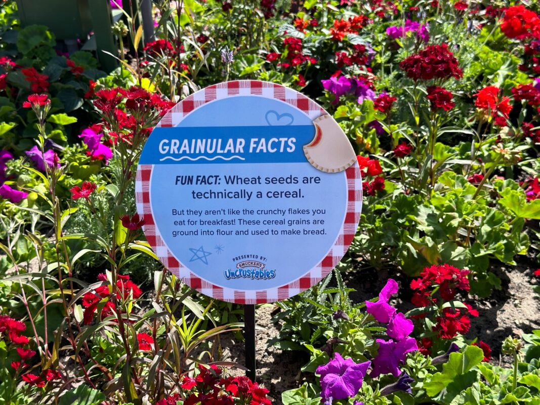 A Grainular Facts sign
