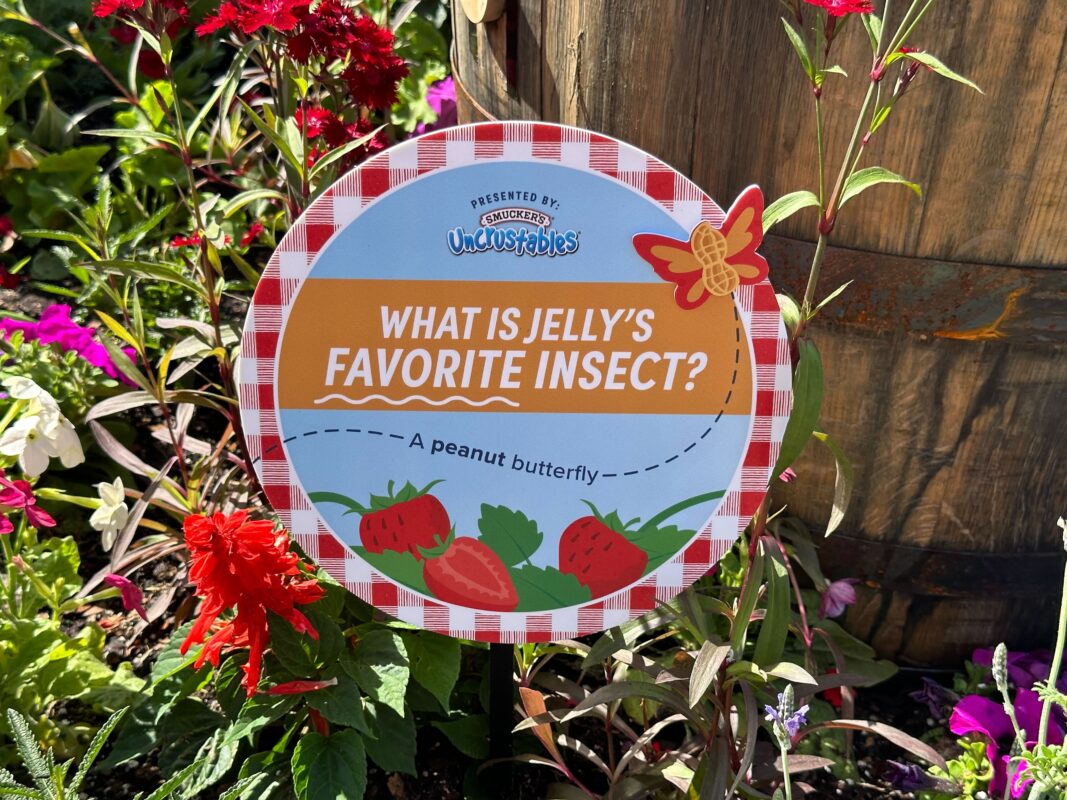A sign that reads, "What is jelly's favorite insect?"