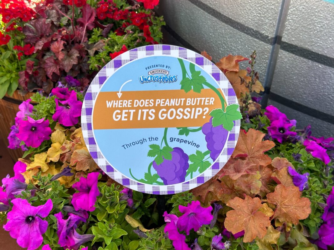 A sign that reads, "Where does peanut butter get its gossip?"