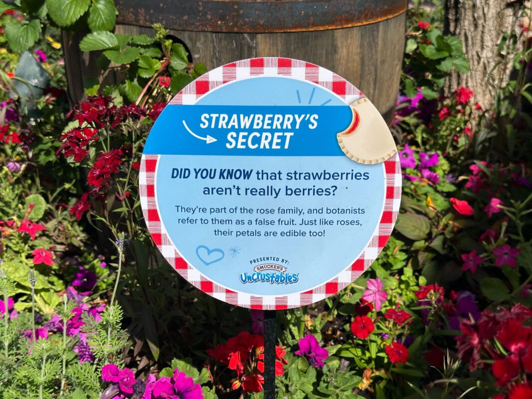 A sign that details "Strawberry's Secret"