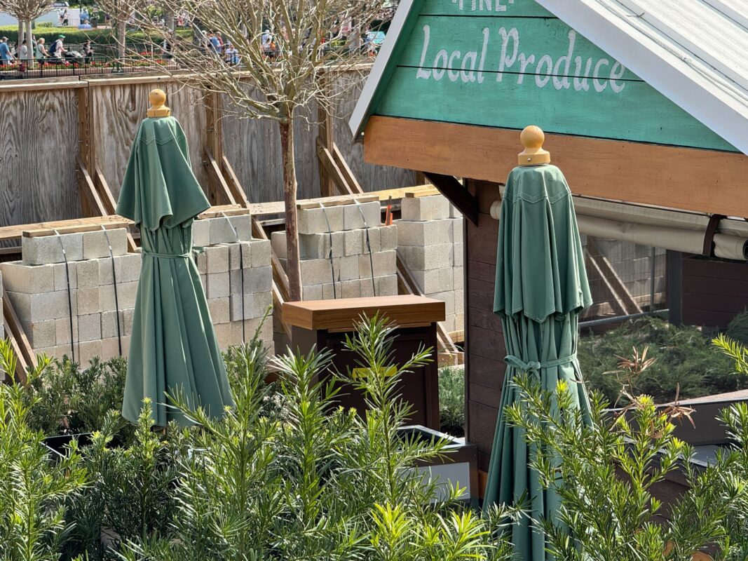 PHOTOS: 2024 Flower & Garden Festival Booth Installed Behind Construction Walls at EPCOT Flex Space 5 green umbrellas at the Florida Fresh booth