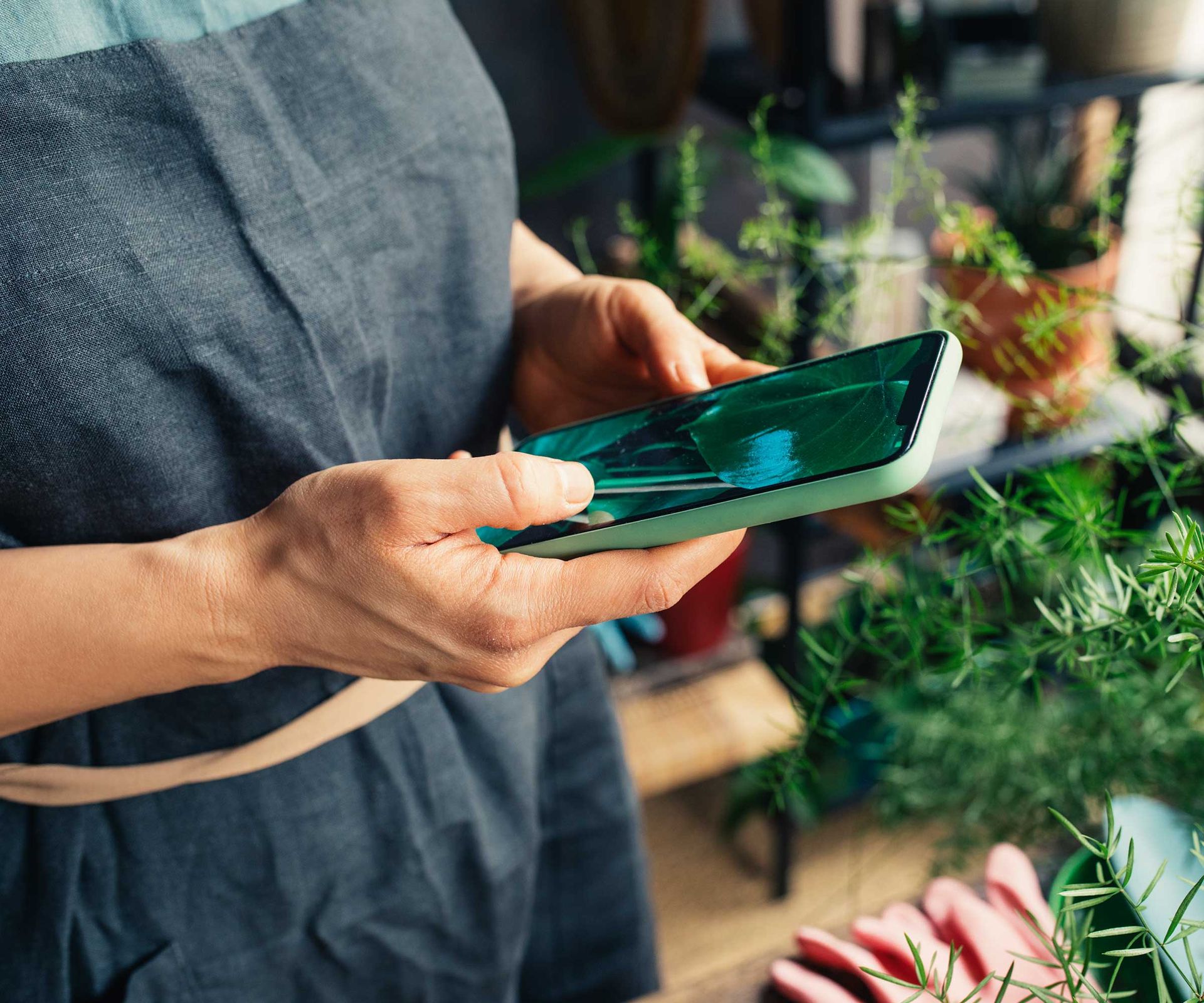 person on gardening app on smartphone