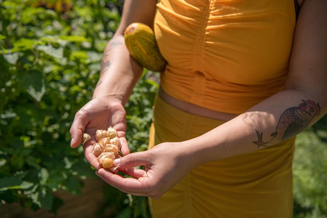 Maria Lara-Bregatta with freshly picked pineapple ground cherries and a Sikkim cucumber in the gardens at her Colchester home - DARIA BISHOP