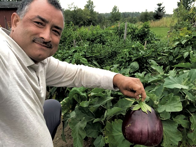 Dan Raut with an eggplant in 2022 - COURTESY