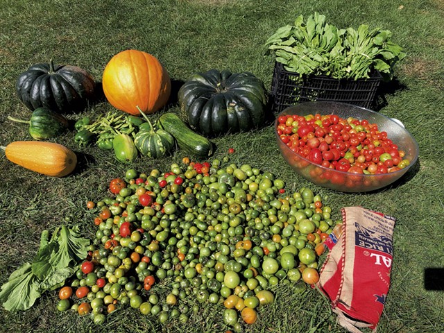 Some of the vegetables grown in 2022 by the Raut family for Red Panda - COURTESY
