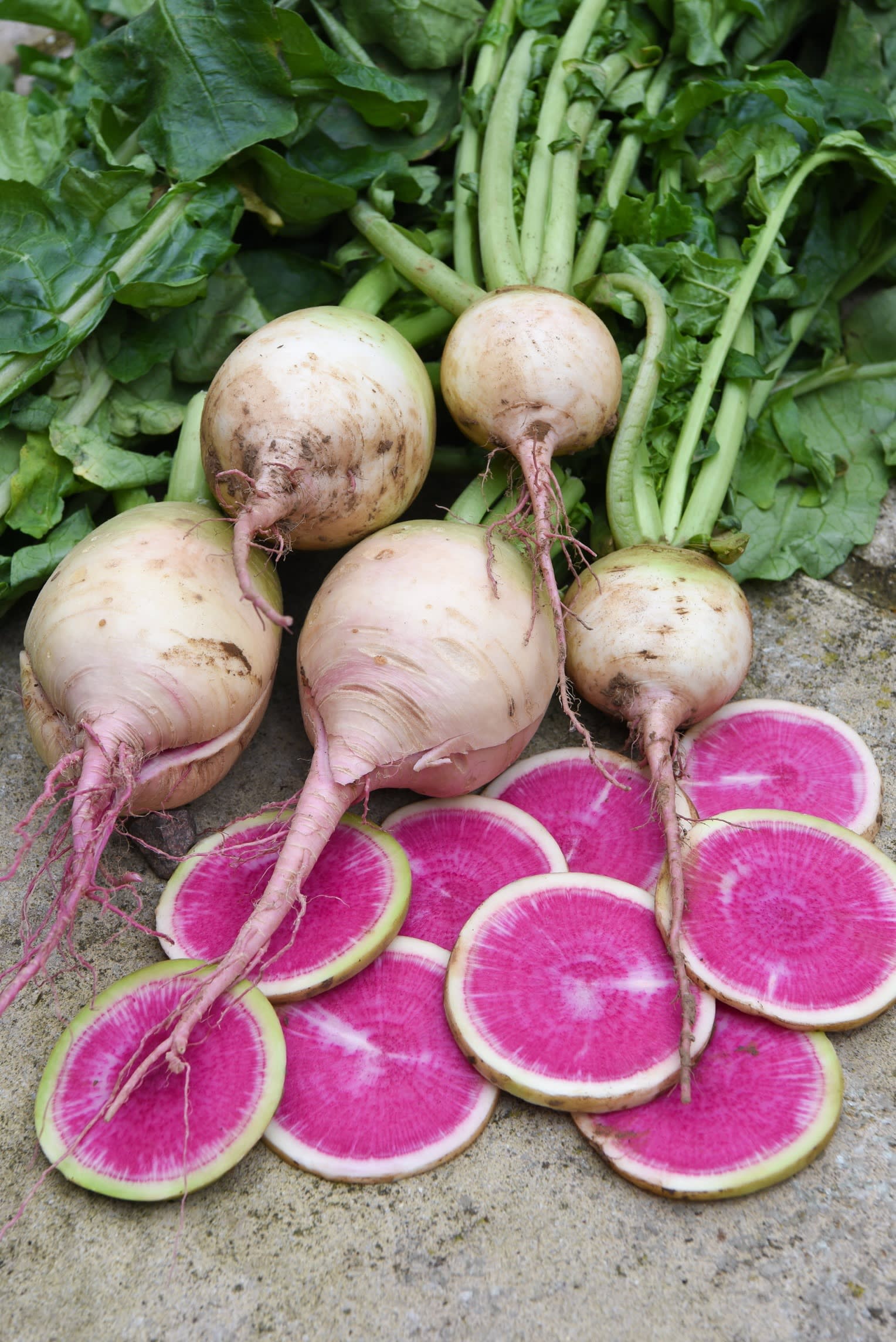 slices of pink-coloured Misato Rose Flesh radish