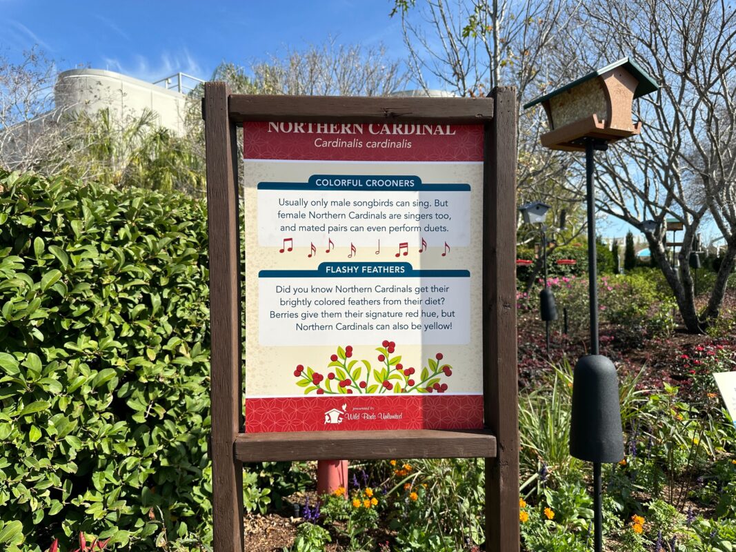 A sign with information about the Northern Cardinal.