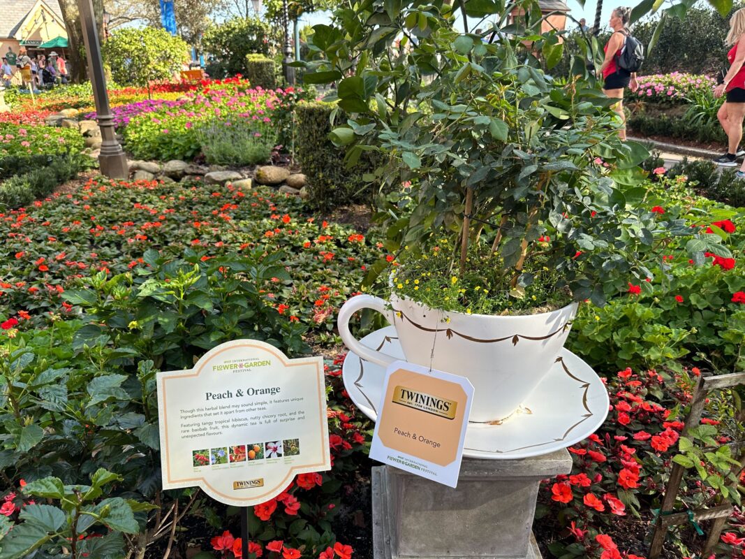 A display for Peach & Orange tea.