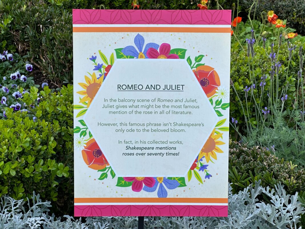 A sign mentioning the connection between roses and "Romeo and Juliet."