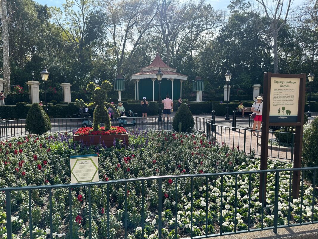 A wide shot of the Mickey Mouse topiary.