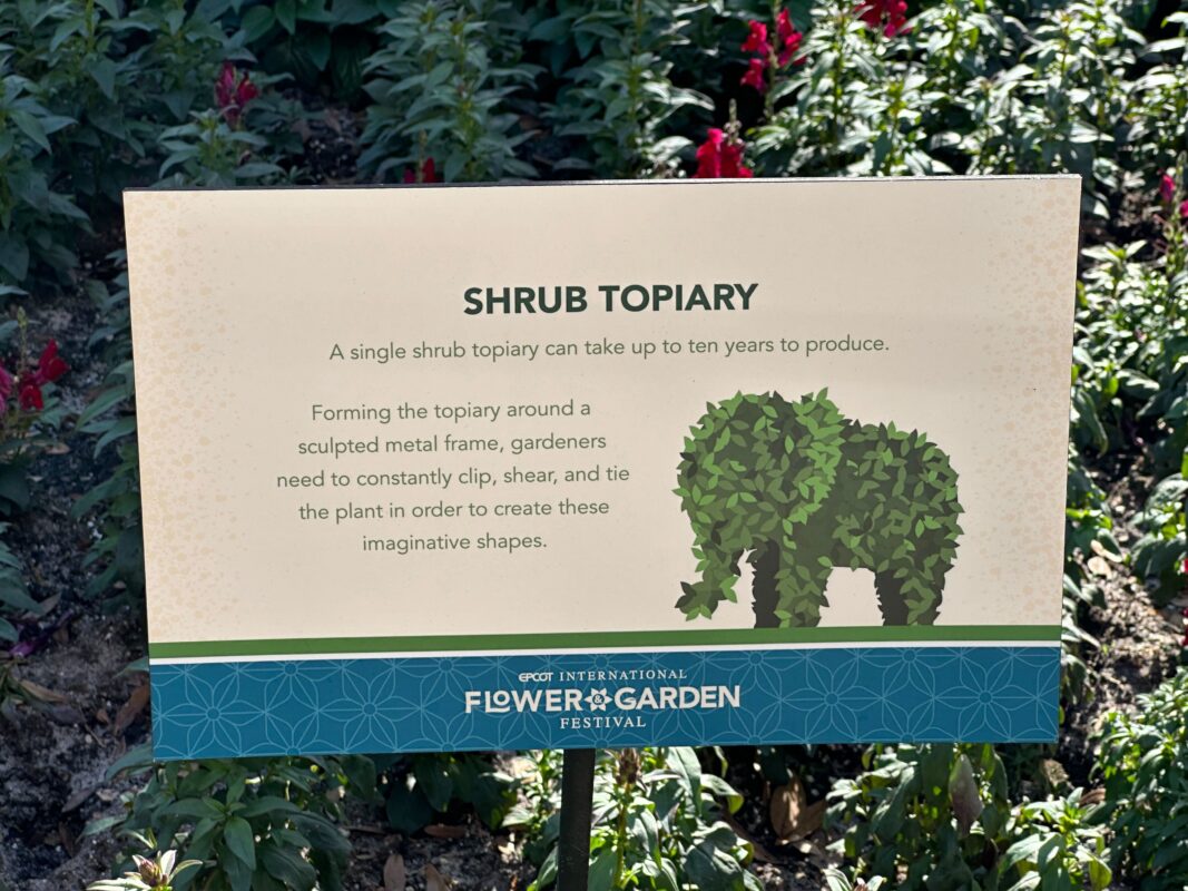 A sign explaining what is a shrub topiary.