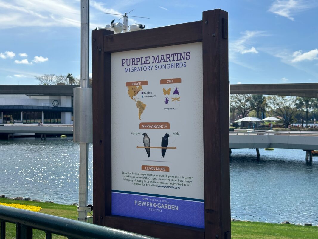 A sign about Purple Martins.