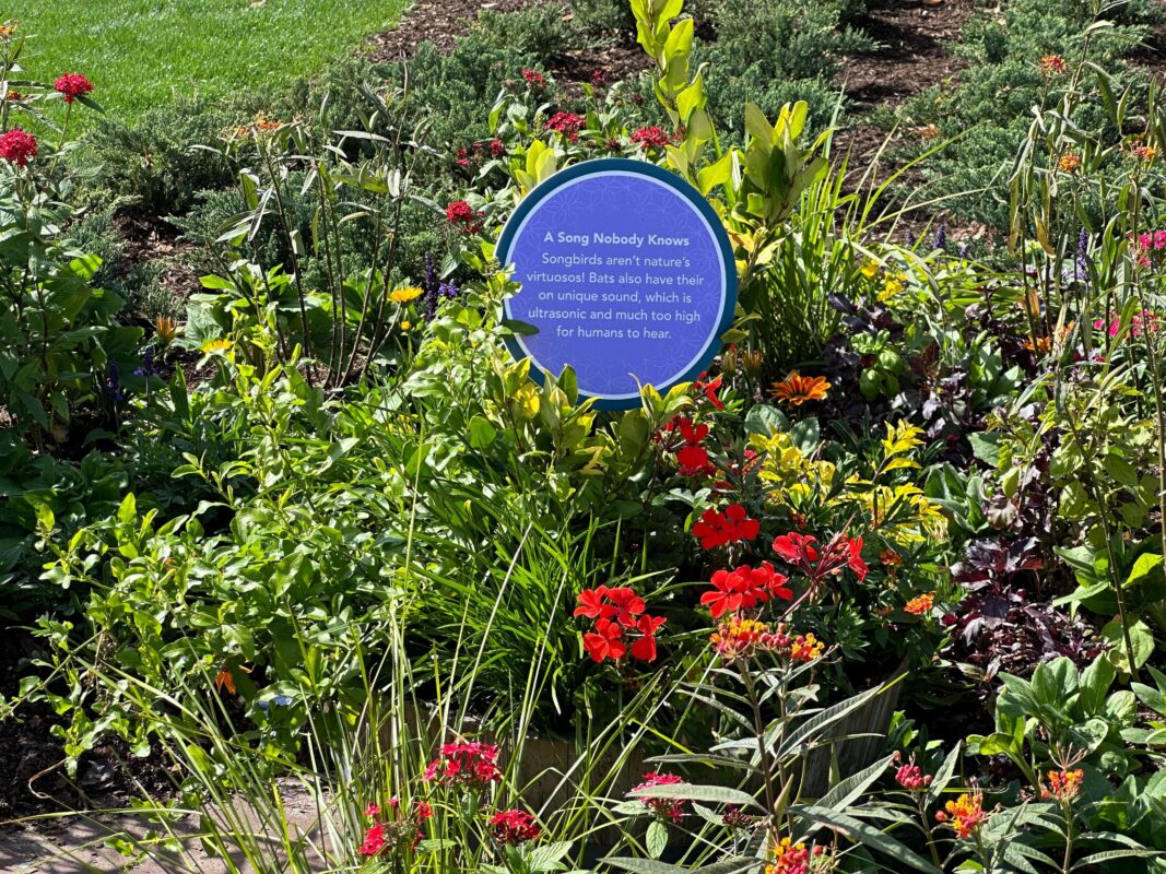 A sign about birdsong.