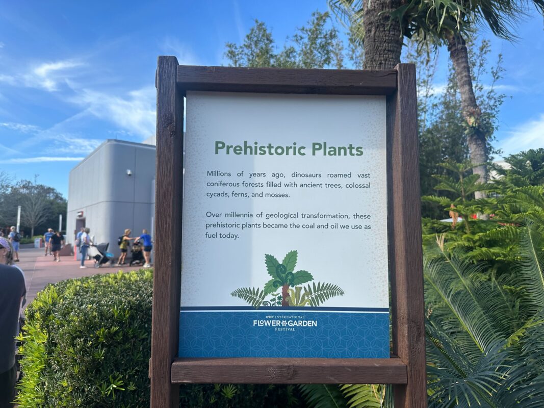 A sign explaining prehistoric plants.