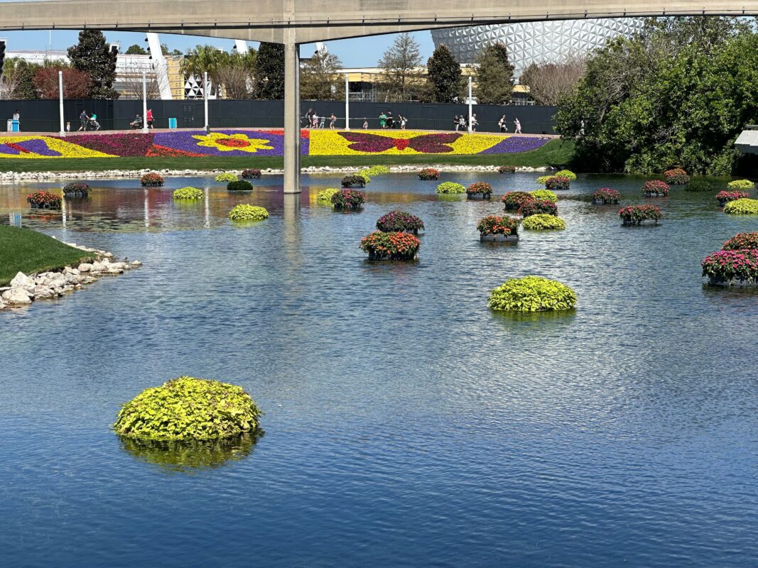 Another wide shot of floating plants in EPCOT.