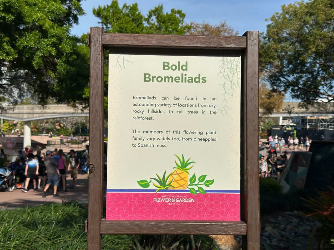 The sign for the Bold Bromeliads garden.