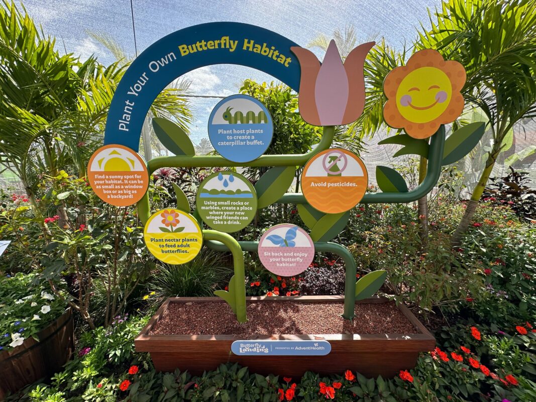 A display on how to plant your own butterfly habitat.