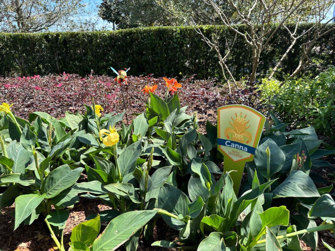 A sign for the Canna flower, part of Spike's Pollen-Nation Exploration.