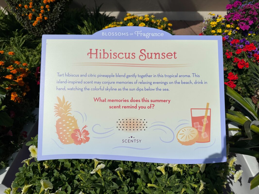 A sign for Hibiscus Sunset in Blossoms of Fragrance.