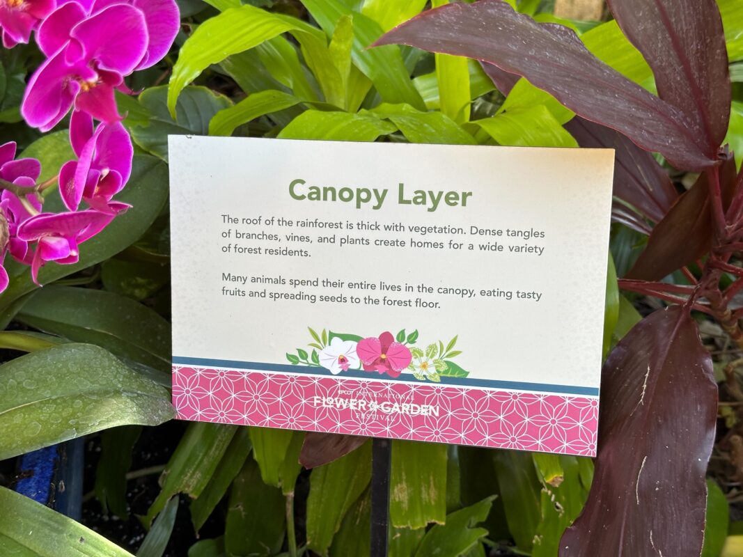 A sign explaining the canopy layer.