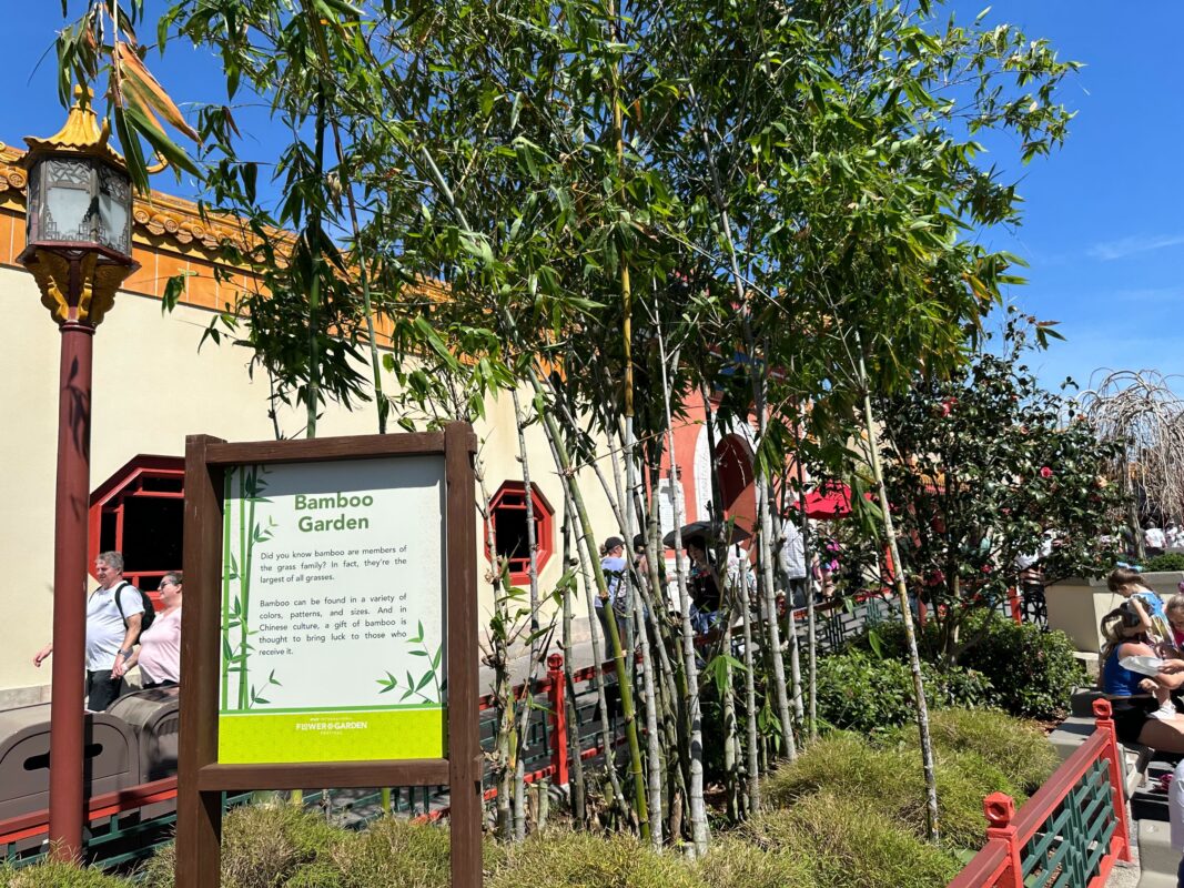 The Bamboo Garden in the China Pavilion.