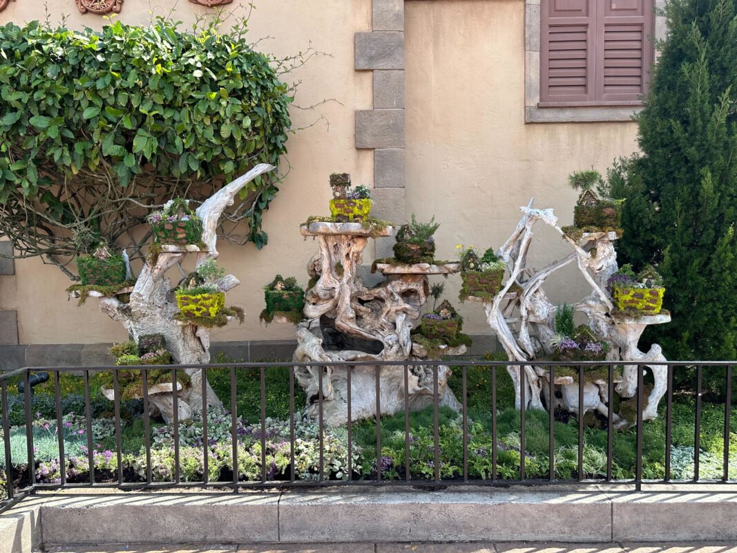 A medium shot of the Miniature Garden.