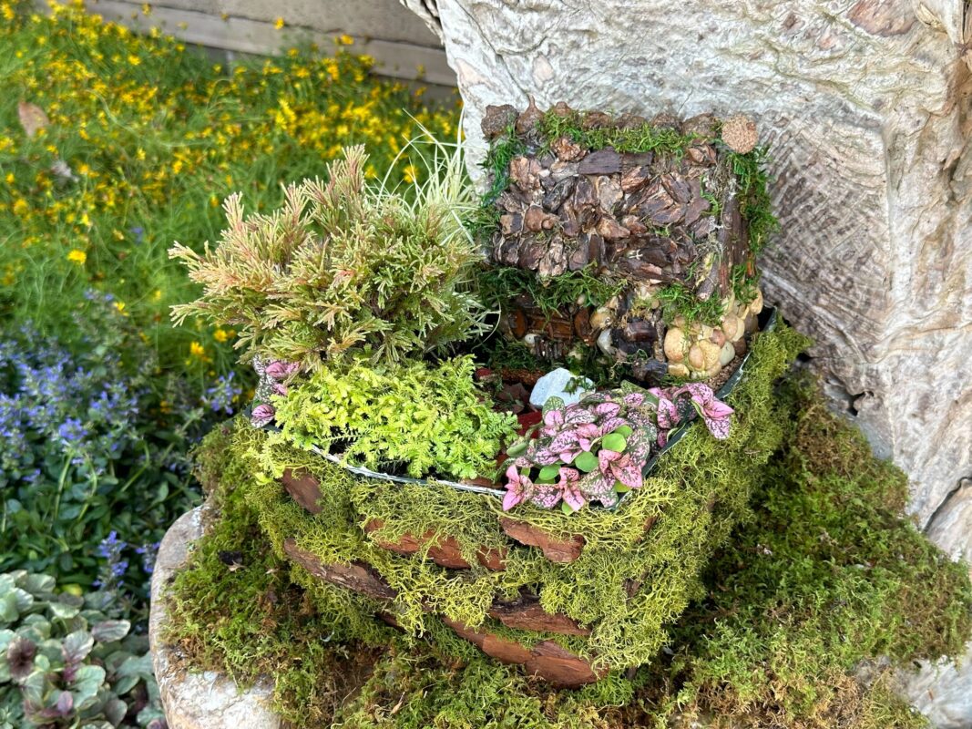 Another cottage in the Miniature Garden.