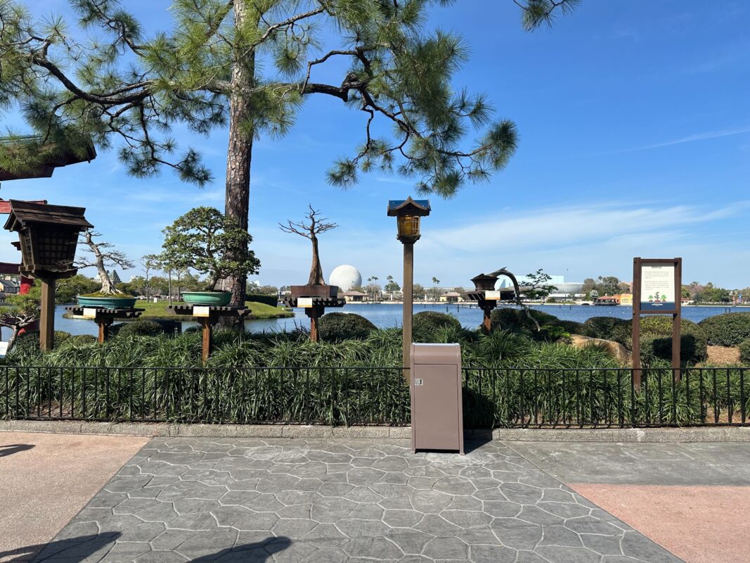 The Bonsai Collection in the Japan Pavilion.