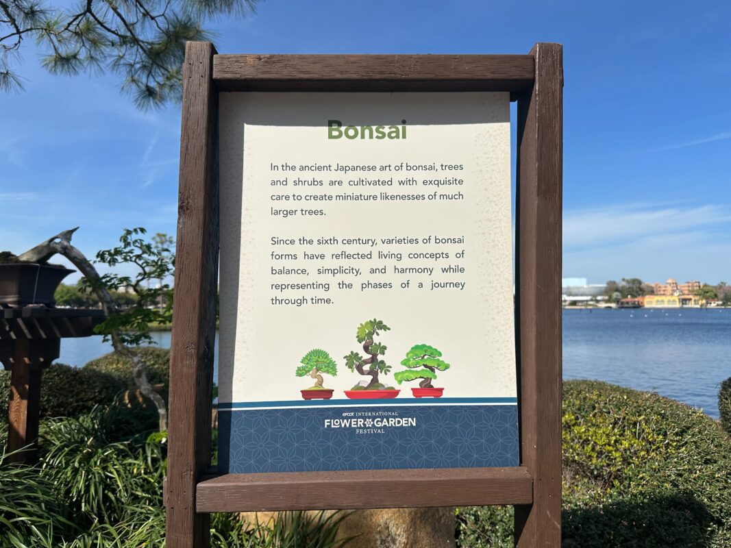 The sign for the Bonsai Collection.