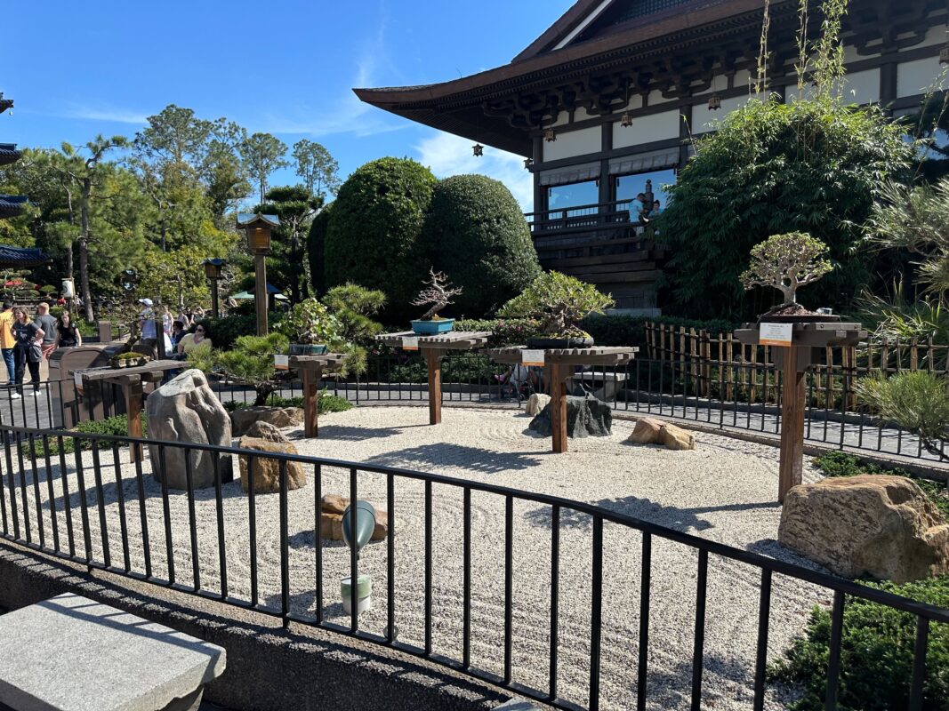 More bonsai outside of Shiki-Sai.