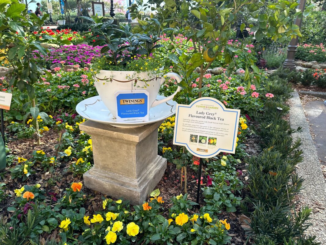 A display for Lady Grey Flavored Black Tea.
