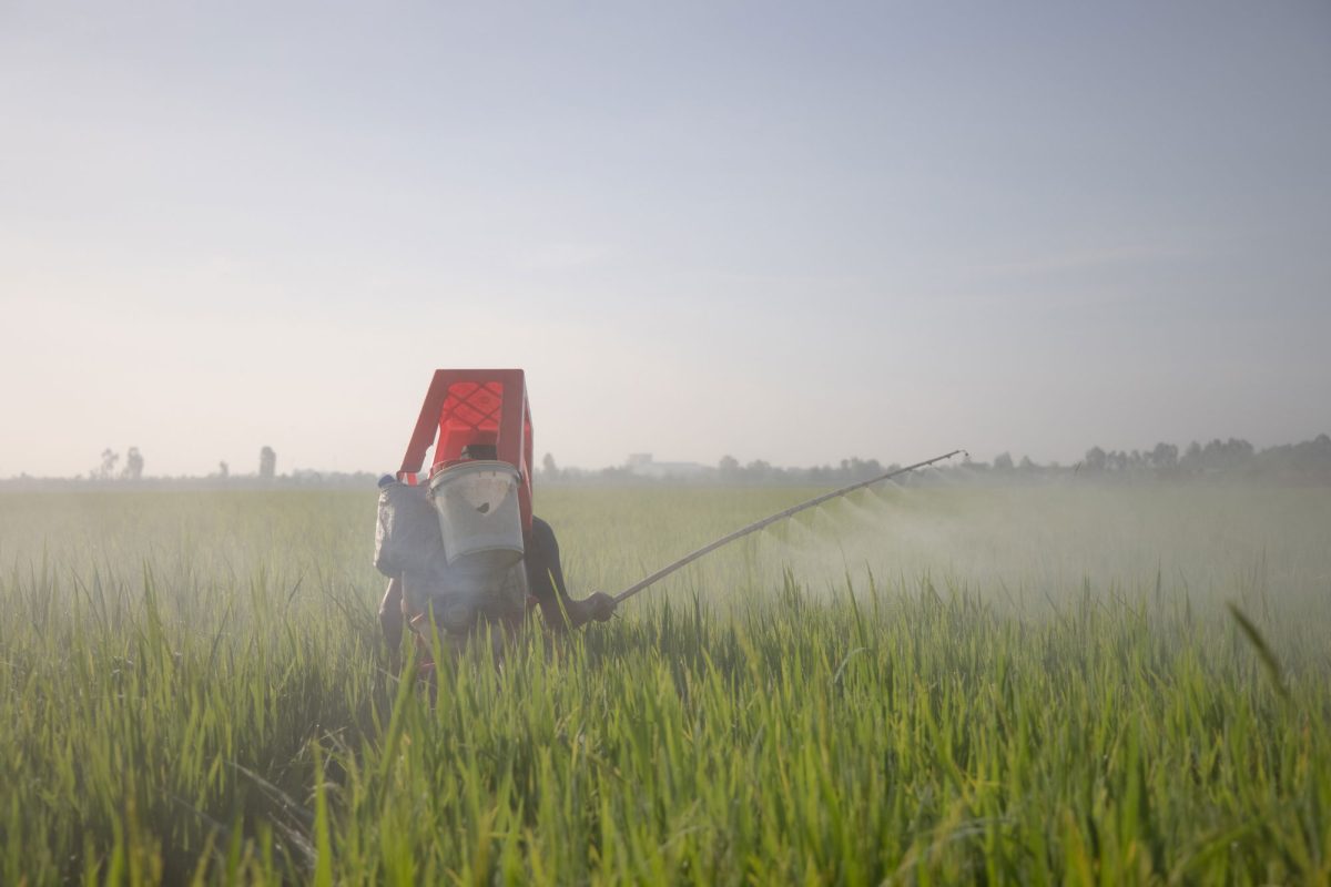 farmer spraying pesticide